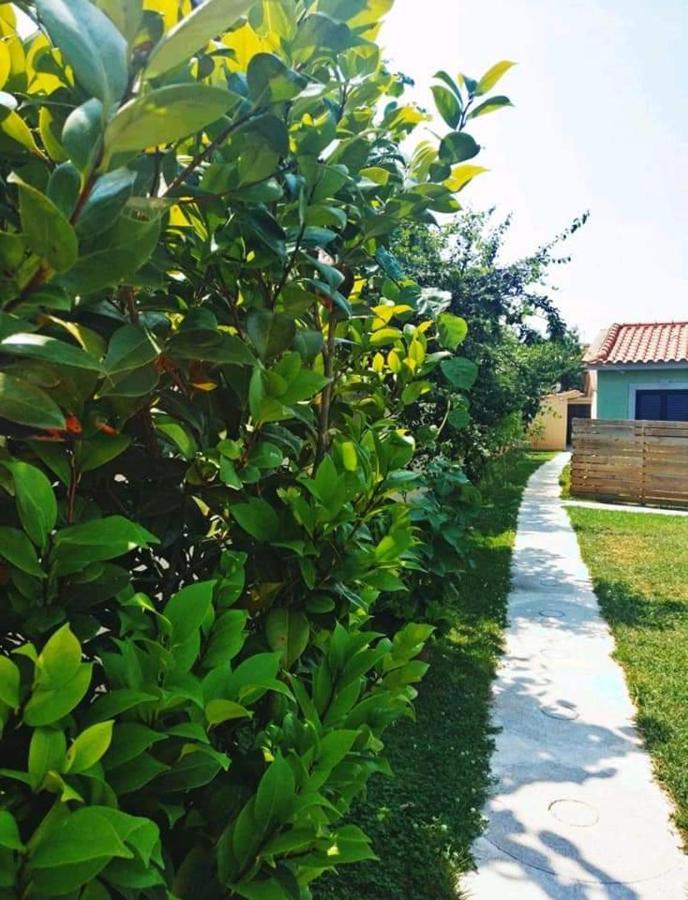 Casas Do Paco - Casas De Ferias كابيسيراس دى باستو المظهر الخارجي الصورة
