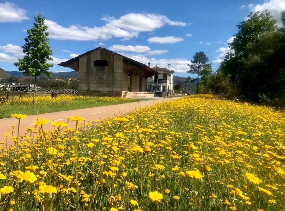 Casas Do Paco - Casas De Ferias كابيسيراس دى باستو المظهر الخارجي الصورة